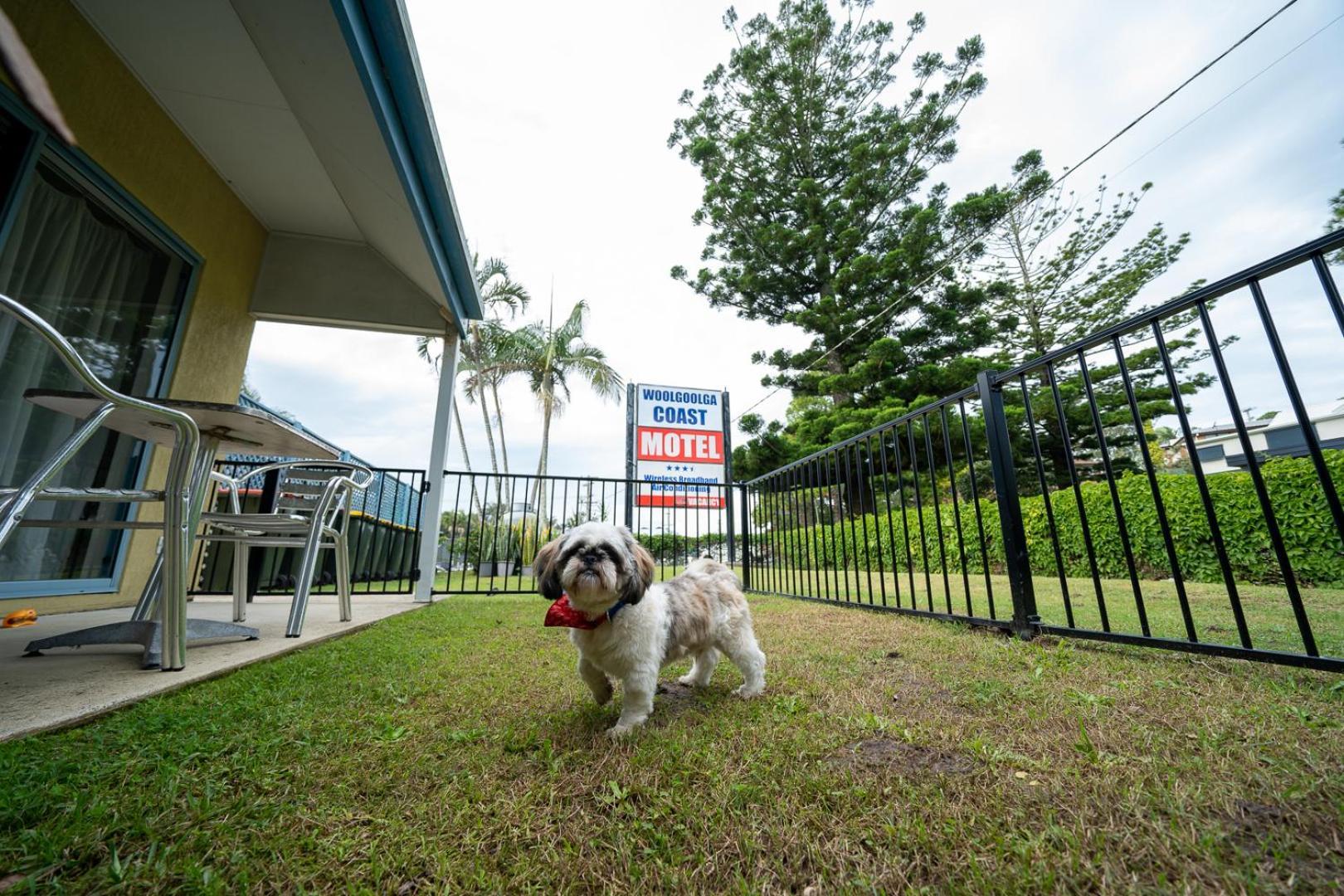 Woolgoolga Coast Motel 客房 照片